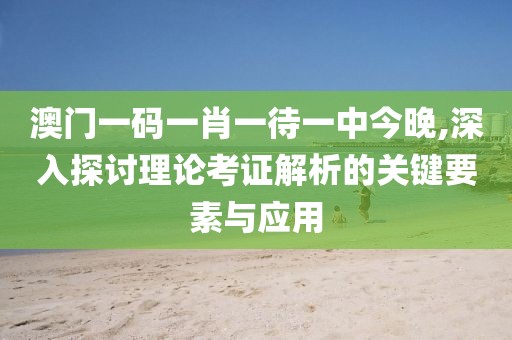 澳门一码一肖一待一中今晚,深入探讨理论考证解析的关键要素与应用