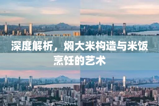深度解析，焖大米构造与米饭烹饪的艺术