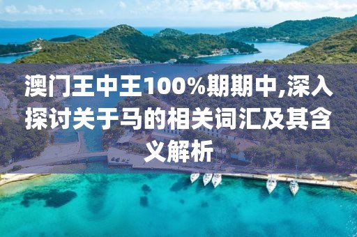 澳门王中王100%期期中,深入探讨关于马的相关词汇及其含义解析