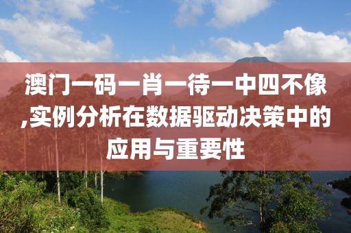 澳门一码一肖一待一中四不像,实例分析在数据驱动决策中的应用与重要性