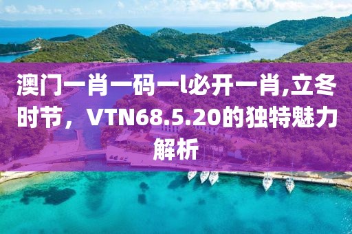 澳门一肖一码一l必开一肖,立冬时节，VTN68.5.20的独特魅力解析