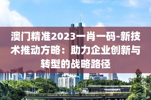 澳门精准2023一肖一码-新技术推动方略：助力企业创新与转型的战略路径