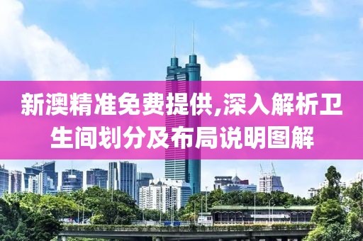 新澳精准免费提供,深入解析卫生间划分及布局说明图解