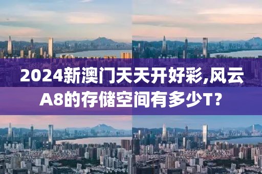 2024新澳门天天开好彩,风云A8的存储空间有多少T？