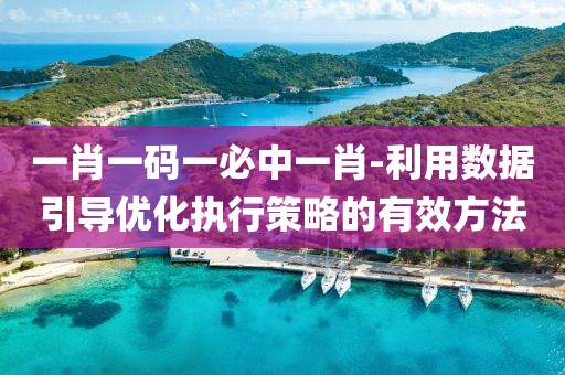 一肖一码一必中一肖-利用数据引导优化执行策略的有效方法