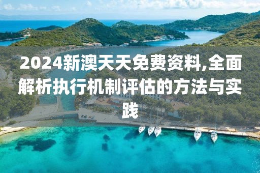 2024新澳天天免费资料,全面解析执行机制评估的方法与实践