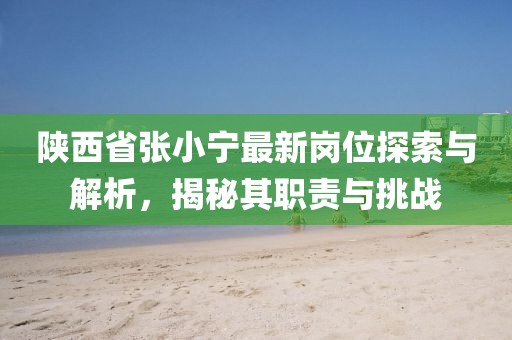 陕西省张小宁最新岗位探索与解析，揭秘其职责与挑战