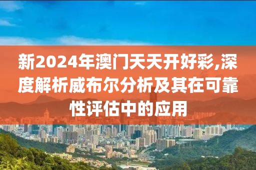 新2024年澳门天天开好彩,深度解析威布尔分析及其在可靠性评估中的应用