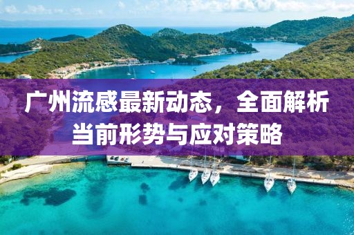 广州流感最新动态，全面解析当前形势与应对策略