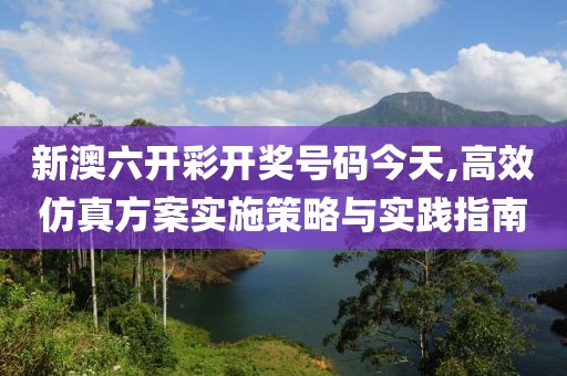 新澳六开彩开奖号码今天,高效仿真方案实施策略与实践指南