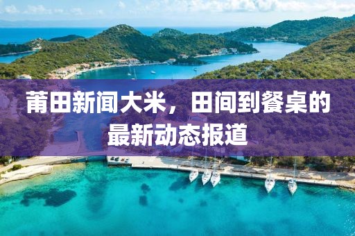莆田新闻大米，田间到餐桌的最新动态报道
