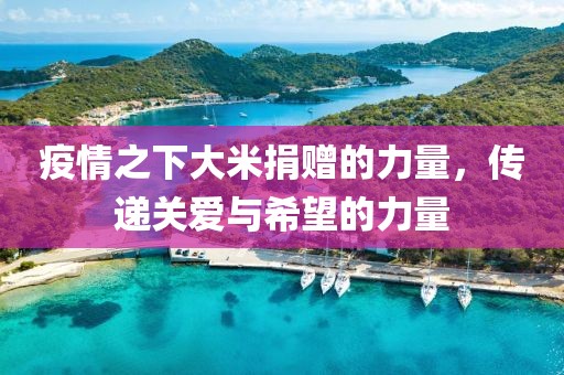 疫情之下大米捐赠的力量，传递关爱与希望的力量