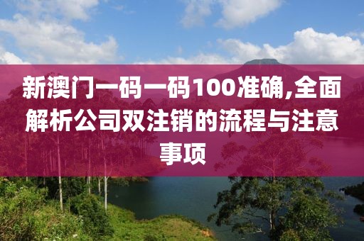 新澳门一码一码100准确,全面解析公司双注销的流程与注意事项
