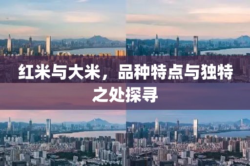 红米与大米，品种特点与独特之处探寻