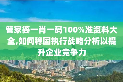 管家婆一肖一码100%准资料大全,如何稳固执行战略分析以提升企业竞争力