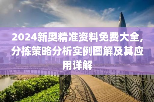 2024新奥精准资料免费大全,分拣策略分析实例图解及其应用详解