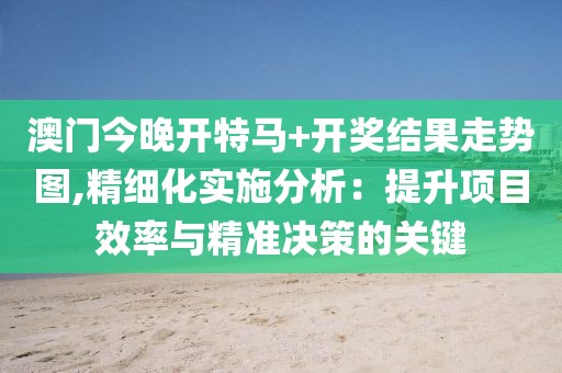 澳门今晚开特马+开奖结果走势图,精细化实施分析：提升项目效率与精准决策的关键