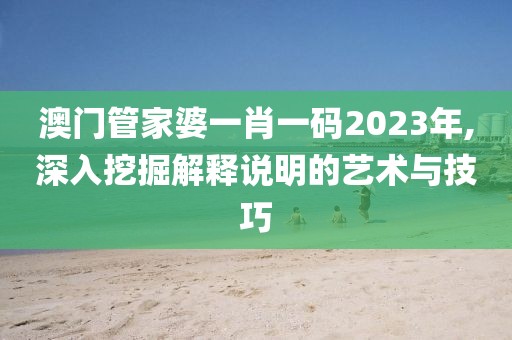 澳门管家婆一肖一码2023年,深入挖掘解释说明的艺术与技巧