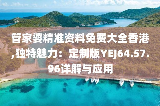 管家婆精准资料免费大全香港,独特魅力：定制版YEJ64.57.96详解与应用