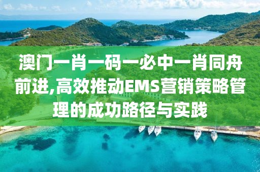 澳门一肖一码一必中一肖同舟前进,高效推动EMS营销策略管理的成功路径与实践