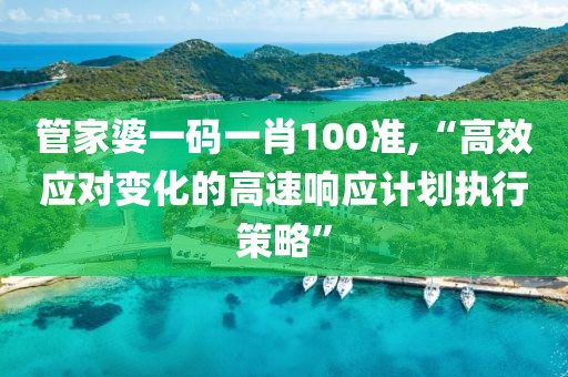 管家婆一码一肖100准,“高效应对变化的高速响应计划执行策略”