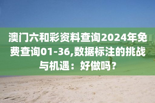 澳门六和彩资料查询2024年免费查询01-36,数据标注的挑战与机遇：好做吗？