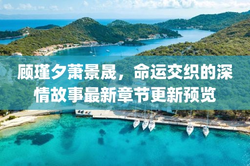 顾瑾夕萧景晟，命运交织的深情故事最新章节更新预览
