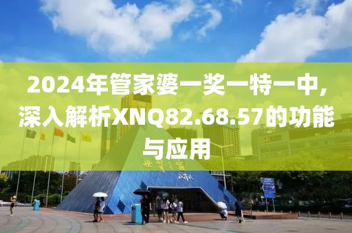 2024年管家婆一奖一特一中,深入解析XNQ82.68.57的功能与应用