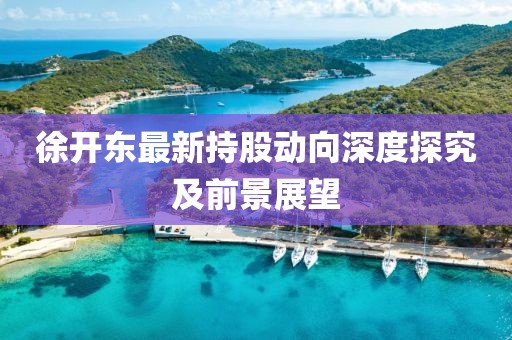 徐开东最新持股动向深度探究及前景展望