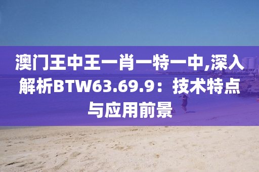 澳门王中王一肖一特一中,深入解析BTW63.69.9：技术特点与应用前景