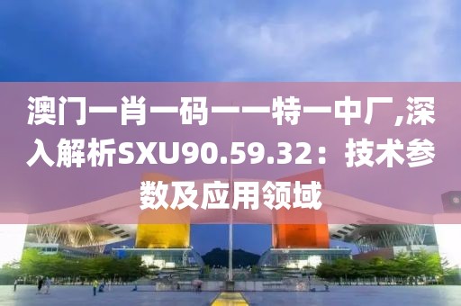 澳门一肖一码一一特一中厂,深入解析SXU90.59.32：技术参数及应用领域