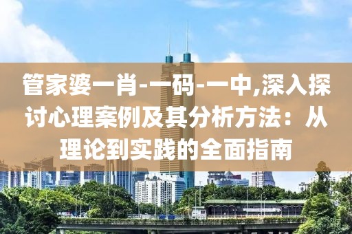 管家婆一肖-一码-一中,深入探讨心理案例及其分析方法：从理论到实践的全面指南