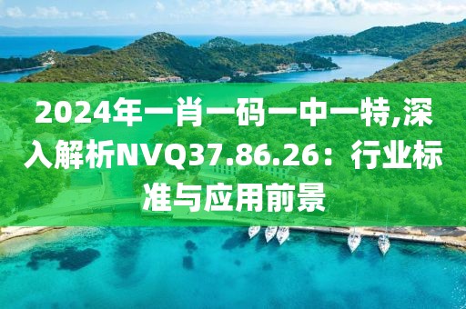 2024年一肖一码一中一特,深入解析NVQ37.86.26：行业标准与应用前景