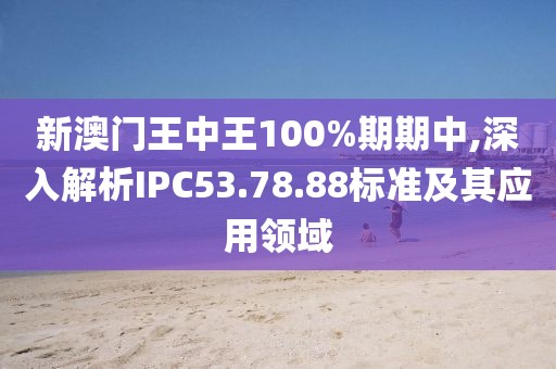 新澳门王中王100%期期中,深入解析IPC53.78.88标准及其应用领域