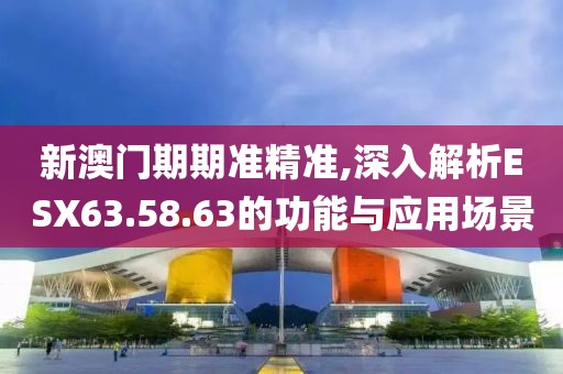 新澳门期期准精准,深入解析ESX63.58.63的功能与应用场景