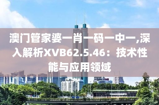 澳门管家婆一肖一码一中一,深入解析XVB62.5.46：技术性能与应用领域