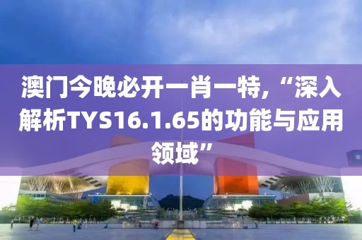 澳门今晚必开一肖一特,“深入解析TYS16.1.65的功能与应用领域”