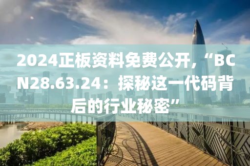 2024正板资料免费公开,“BCN28.63.24：探秘这一代码背后的行业秘密”
