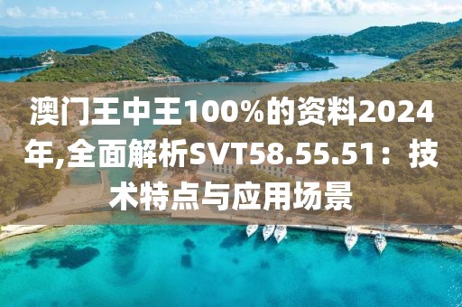 澳门王中王100%的资料2024年,全面解析SVT58.55.51：技术特点与应用场景