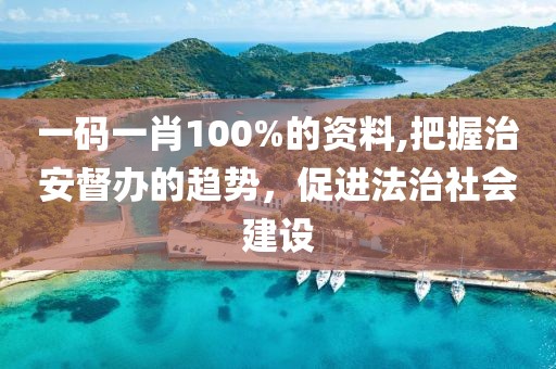 一码一肖100%的资料,把握治安督办的趋势，促进法治社会建设