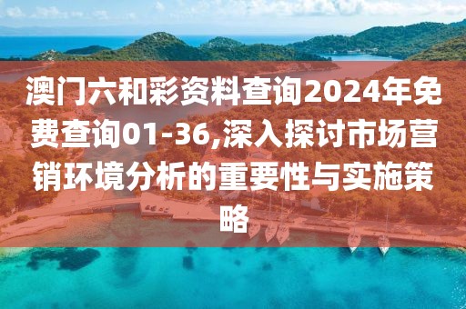 澳门六和彩资料查询2024年免费查询01-36,深入探讨市场营销环境分析的重要性与实施策略