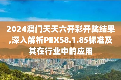 2024澳门天天六开彩开奖结果,深入解析PEX58.1.85标准及其在行业中的应用