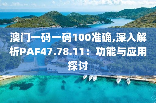 澳门一码一码100准确,深入解析PAF47.78.11：功能与应用探讨