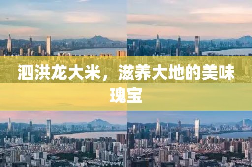 泗洪龙大米，滋养大地的美味瑰宝