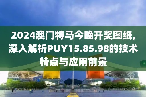 2024澳门特马今晚开奖图纸,深入解析PUY15.85.98的技术特点与应用前景