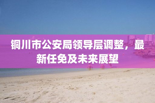 铜川市公安局领导层调整，最新任免及未来展望