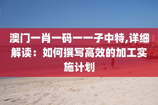 澳门一肖一码一一子中特,详细解读：如何撰写高效的加工实施计划