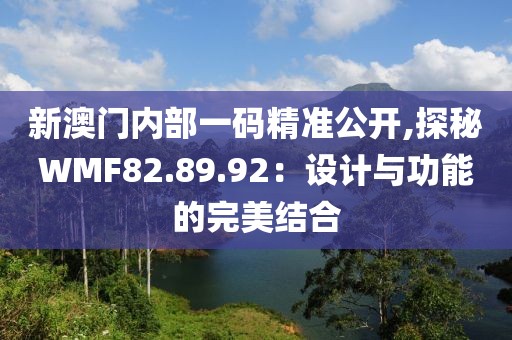 新澳门内部一码精准公开,探秘WMF82.89.92：设计与功能的完美结合