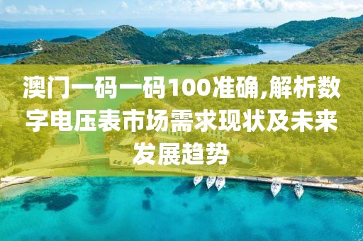 澳门一码一码100准确,解析数字电压表市场需求现状及未来发展趋势