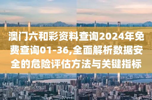 澳门六和彩资料查询2024年免费查询01-36,全面解析数据安全的危险评估方法与关键指标